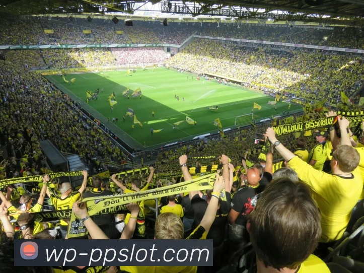 PP极速糖果1000官网发展历程